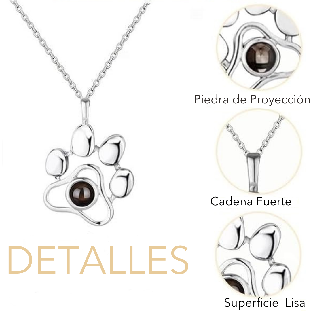 Collar con Proyección Personalizada