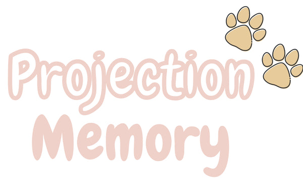 Projection Memory