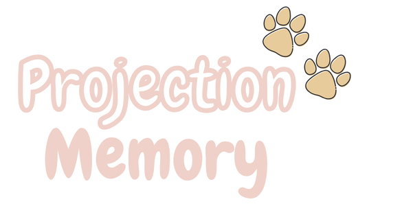 Projection Memory